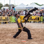 _MG_0146-2