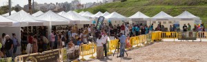 carpa desplegable1