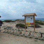 Formentera3